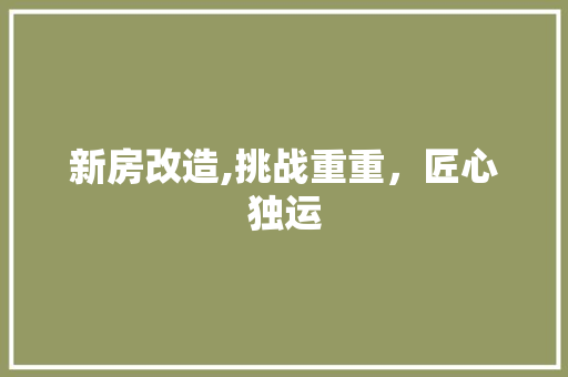 新房改造,挑战重重，匠心独运 墙体维修