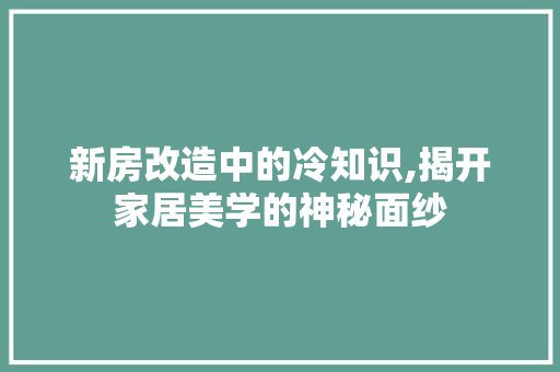 新房改造中的冷知识,揭开家居美学的神秘面纱 汽车维修