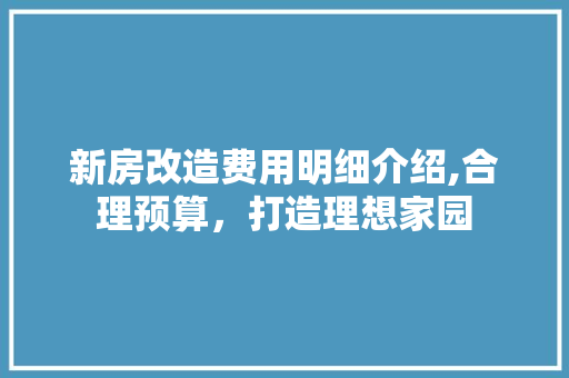 新房改造费用明细介绍,合理预算，打造理想家园 厨房维修