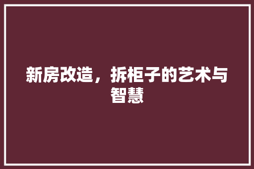 新房改造，拆柜子的艺术与智慧 家电维修