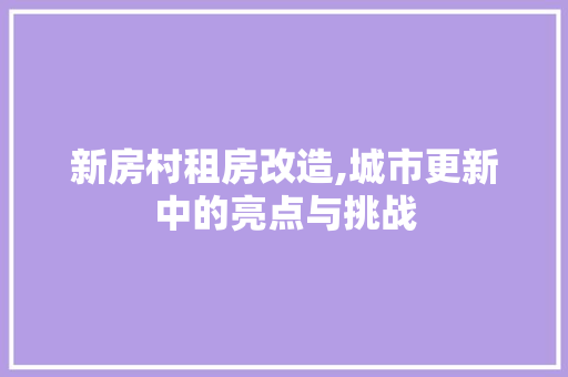 新房村租房改造,城市更新中的亮点与挑战 综合便民