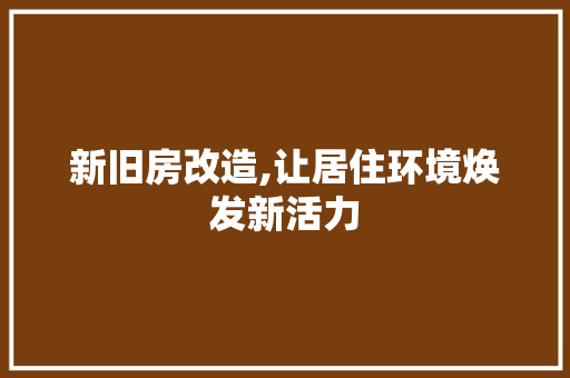 新旧房改造,让居住环境焕发新活力
