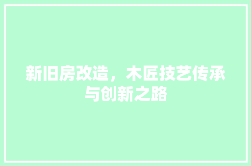 新旧房改造，木匠技艺传承与创新之路