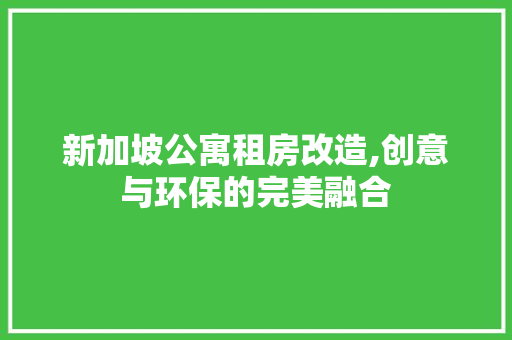 新加坡公寓租房改造,创意与环保的完美融合