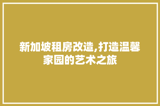 新加坡租房改造,打造温馨家园的艺术之旅