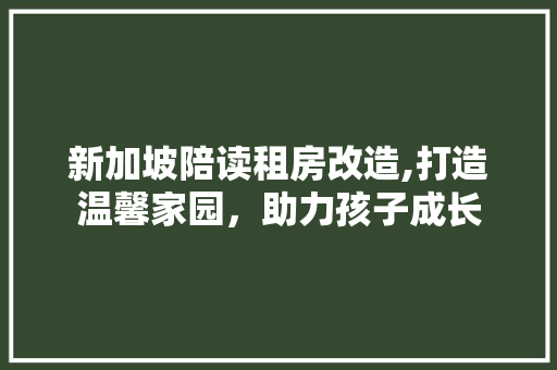 新加坡陪读租房改造,打造温馨家园，助力孩子成长