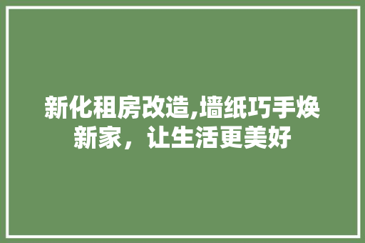 新化租房改造,墙纸巧手焕新家，让生活更美好