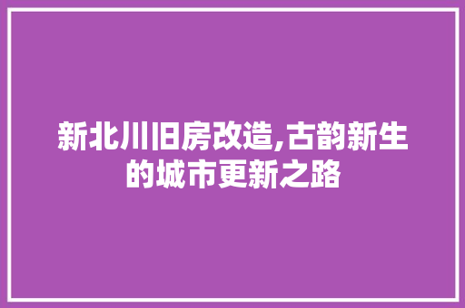 新北川旧房改造,古韵新生的城市更新之路