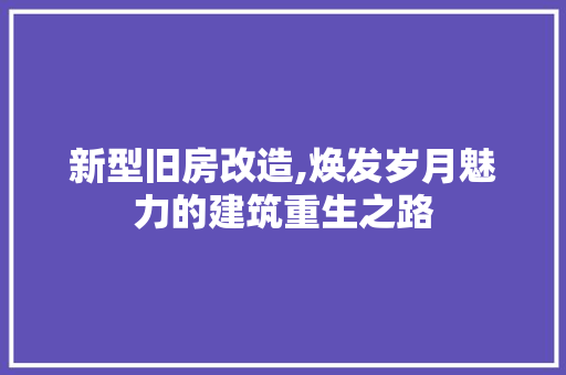 新型旧房改造,焕发岁月魅力的建筑重生之路 汽车维修