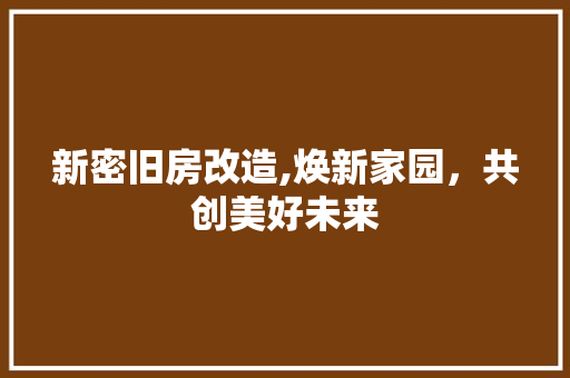 新密旧房改造,焕新家园，共创美好未来