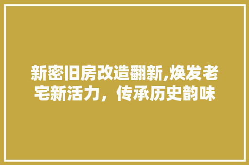 新密旧房改造翻新,焕发老宅新活力，传承历史韵味