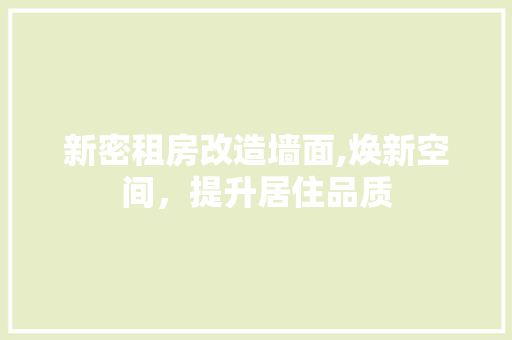 新密租房改造墙面,焕新空间，提升居住品质