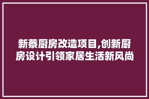 新蔡厨房改造项目,创新厨房设计引领家居生活新风尚