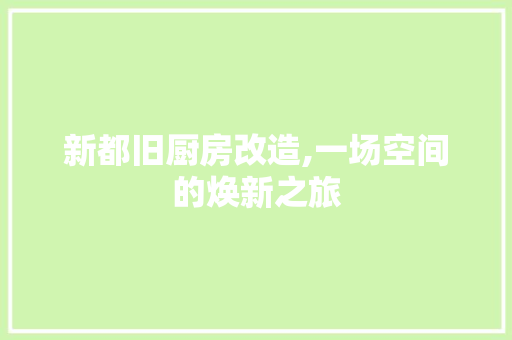 新都旧厨房改造,一场空间的焕新之旅 墙体维修