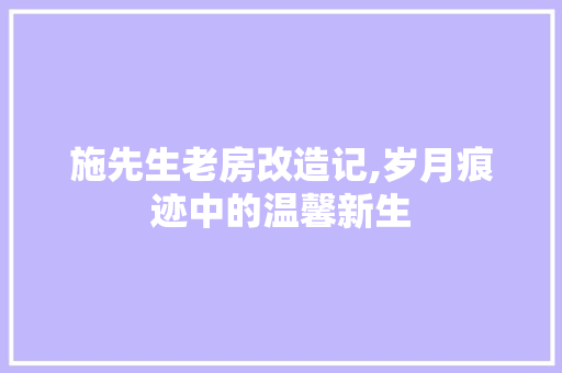 施先生老房改造记,岁月痕迹中的温馨新生 家电维修