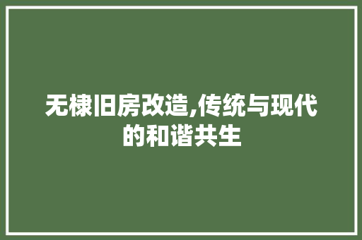 无棣旧房改造,传统与现代的和谐共生 家电维修