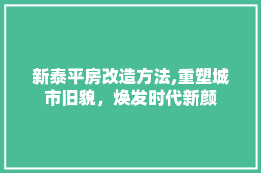 新泰平房改造方法,重塑城市旧貌，焕发时代新颜 汽车维修