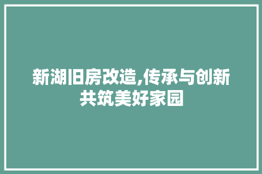 新湖旧房改造,传承与创新共筑美好家园
