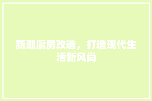 新潮厨房改造，打造现代生活新风尚