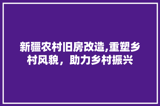 新疆农村旧房改造,重塑乡村风貌，助力乡村振兴