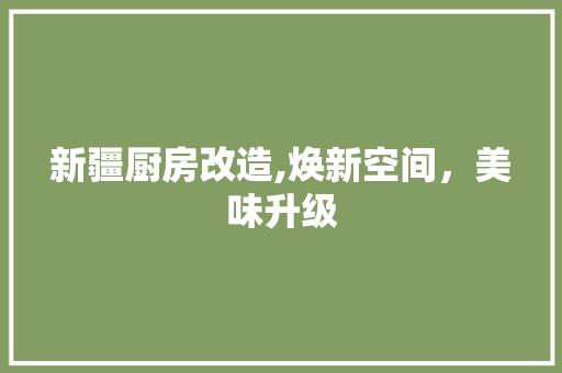 新疆厨房改造,焕新空间，美味升级 汽车维修