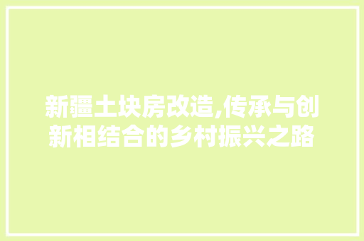 新疆土块房改造,传承与创新相结合的乡村振兴之路 墙体维修
