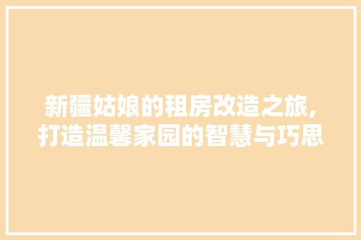 新疆姑娘的租房改造之旅,打造温馨家园的智慧与巧思 综合便民