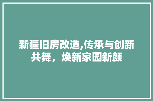 新疆旧房改造,传承与创新共舞，焕新家园新颜 汽车维修