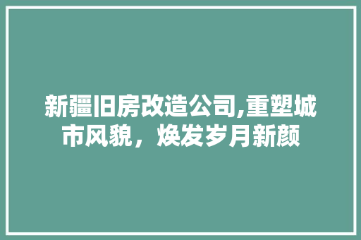 新疆旧房改造公司,重塑城市风貌，焕发岁月新颜 家电维修