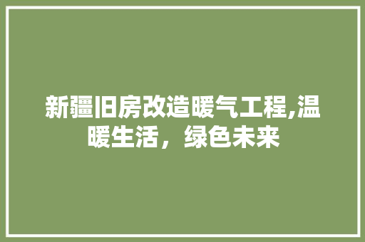新疆旧房改造暖气工程,温暖生活，绿色未来 综合便民