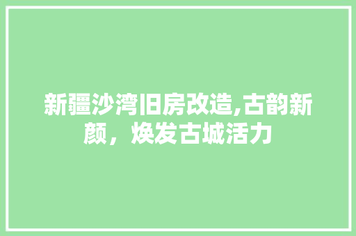 新疆沙湾旧房改造,古韵新颜，焕发古城活力 汽车维修