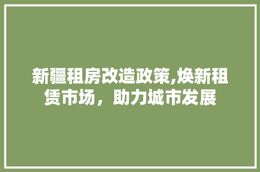 新疆租房改造政策,焕新租赁市场，助力城市发展