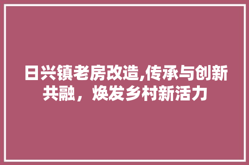 日兴镇老房改造,传承与创新共融，焕发乡村新活力
