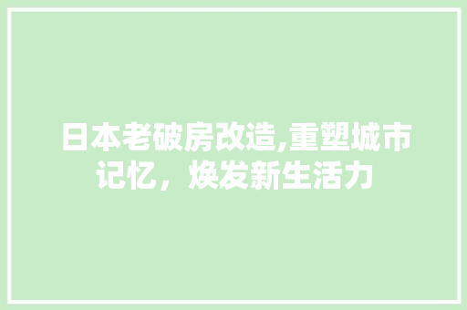 日本老破房改造,重塑城市记忆，焕发新生活力 家电维修