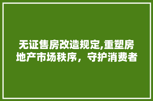 无证售房改造规定,重塑房地产市场秩序，守护消费者权益