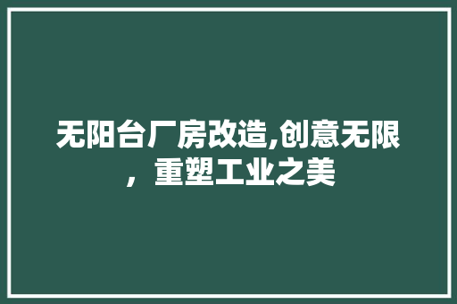 无阳台厂房改造,创意无限，重塑工业之美