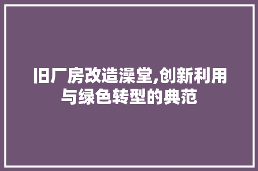 旧厂房改造澡堂,创新利用与绿色转型的典范 综合便民