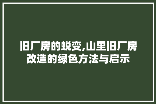 旧厂房的蜕变,山里旧厂房改造的绿色方法与启示