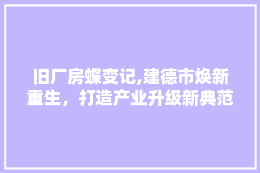 旧厂房蝶变记,建德市焕新重生，打造产业升级新典范