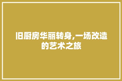 旧厨房华丽转身,一场改造的艺术之旅