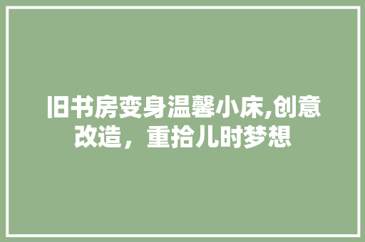 旧书房变身温馨小床,创意改造，重拾儿时梦想