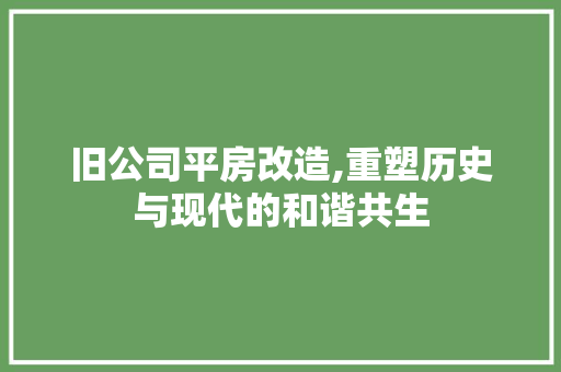 旧公司平房改造,重塑历史与现代的和谐共生