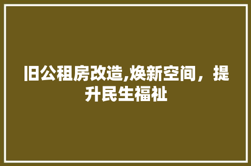 旧公租房改造,焕新空间，提升民生福祉