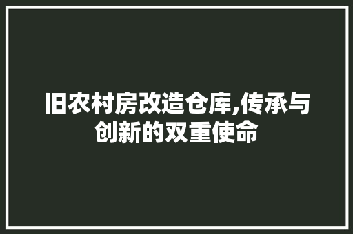 旧农村房改造仓库,传承与创新的双重使命