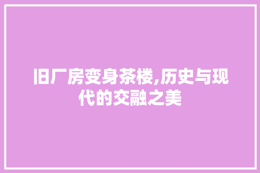 旧厂房变身茶楼,历史与现代的交融之美