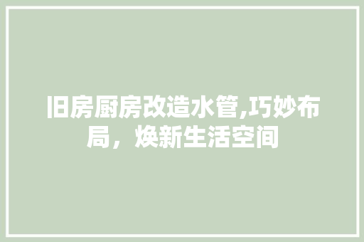 旧房厨房改造水管,巧妙布局，焕新生活空间 厨房维修