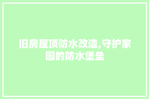 旧房屋顶防水改造,守护家园的防水堡垒 综合便民