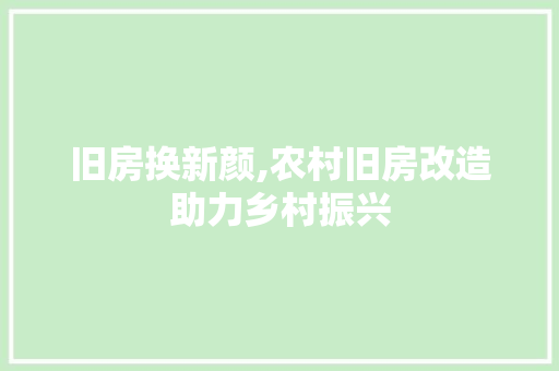 旧房换新颜,农村旧房改造助力乡村振兴 厨房维修