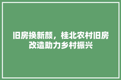 旧房换新颜，桂北农村旧房改造助力乡村振兴 墙体维修