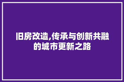 旧房改造,传承与创新共融的城市更新之路 汽车维修